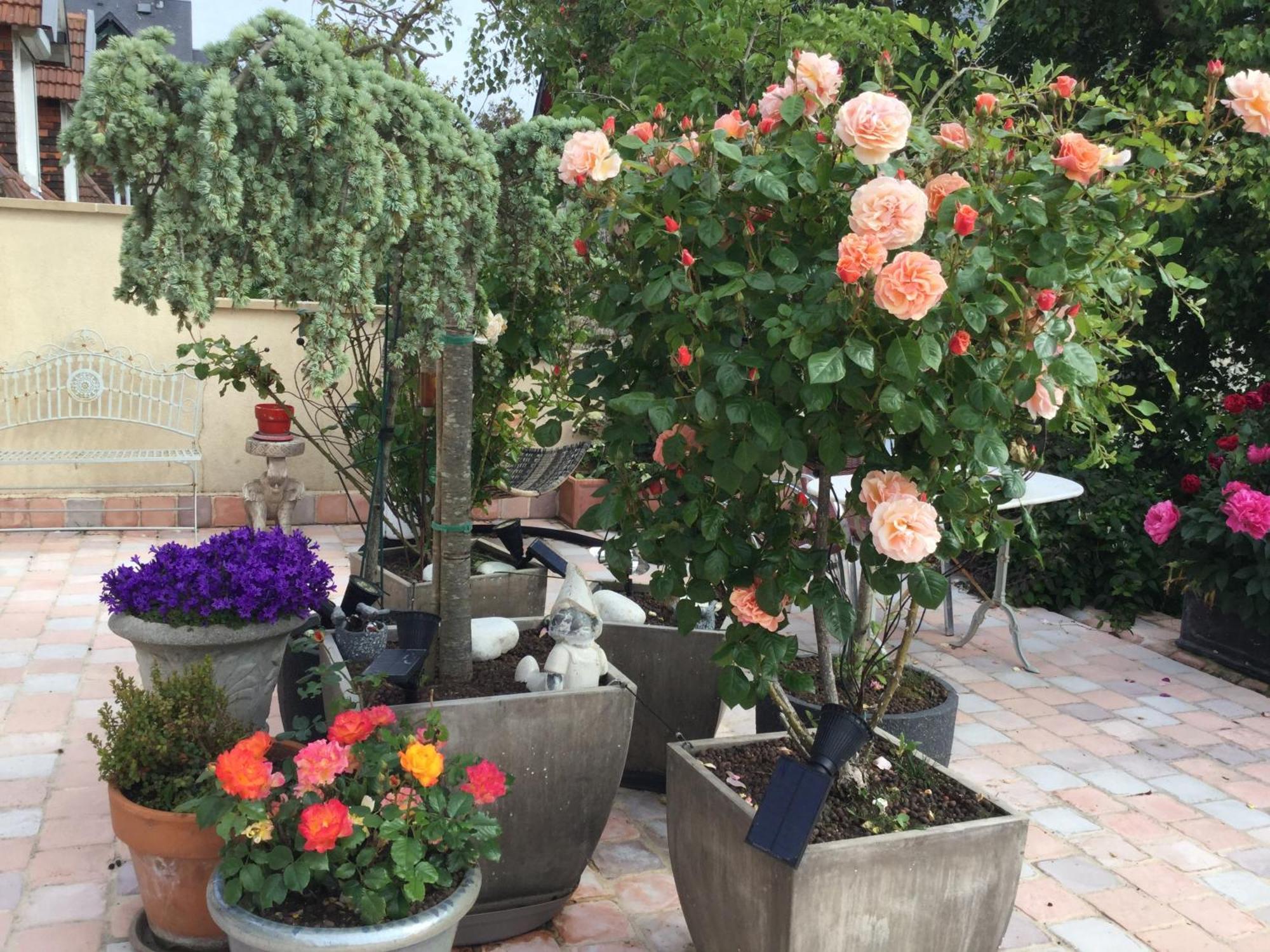 Appartement Terrasse Face Mer วิลเลอร์วิลล์ ภายนอก รูปภาพ